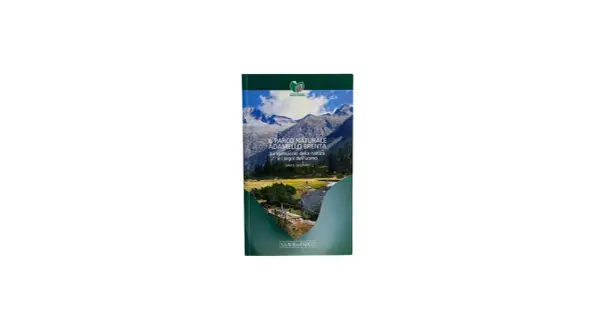 Copertina del libro "Il Parco Naturale Adamello Brenta", con montagne innevate, un fiume e un ponte.