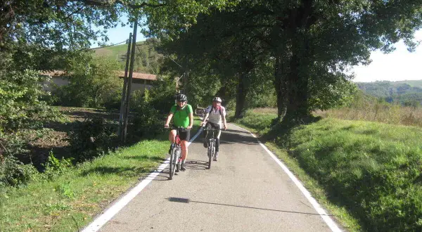 Ciclisti su una strada panoramica, parte della ciclovia del sole, immersi nel verde.
