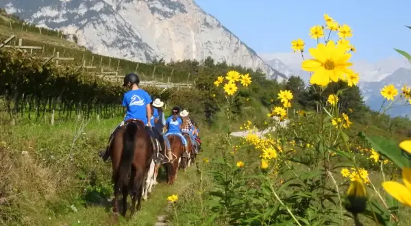 Gruppo di principianti in passeggiata a cavallo tra vigneti e fiori gialli, con montagne sullo sfondo.