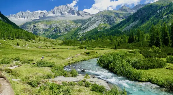 Un torrente cristallino scorre nel **Val di Fumo**, circondato da prati verdi e montagne imponenti.