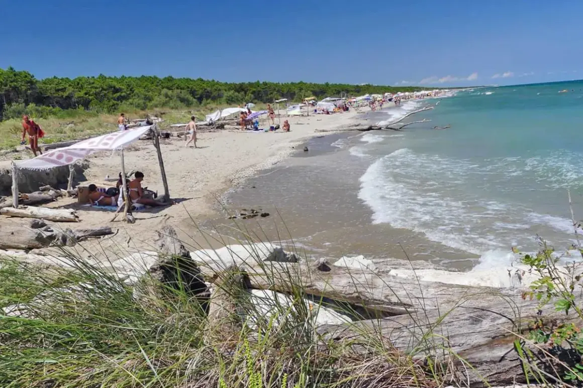 Persone rilassate sotto un telo sulla spiaggia della Bassona, con il mare azzurro e la pineta sullo sfondo.