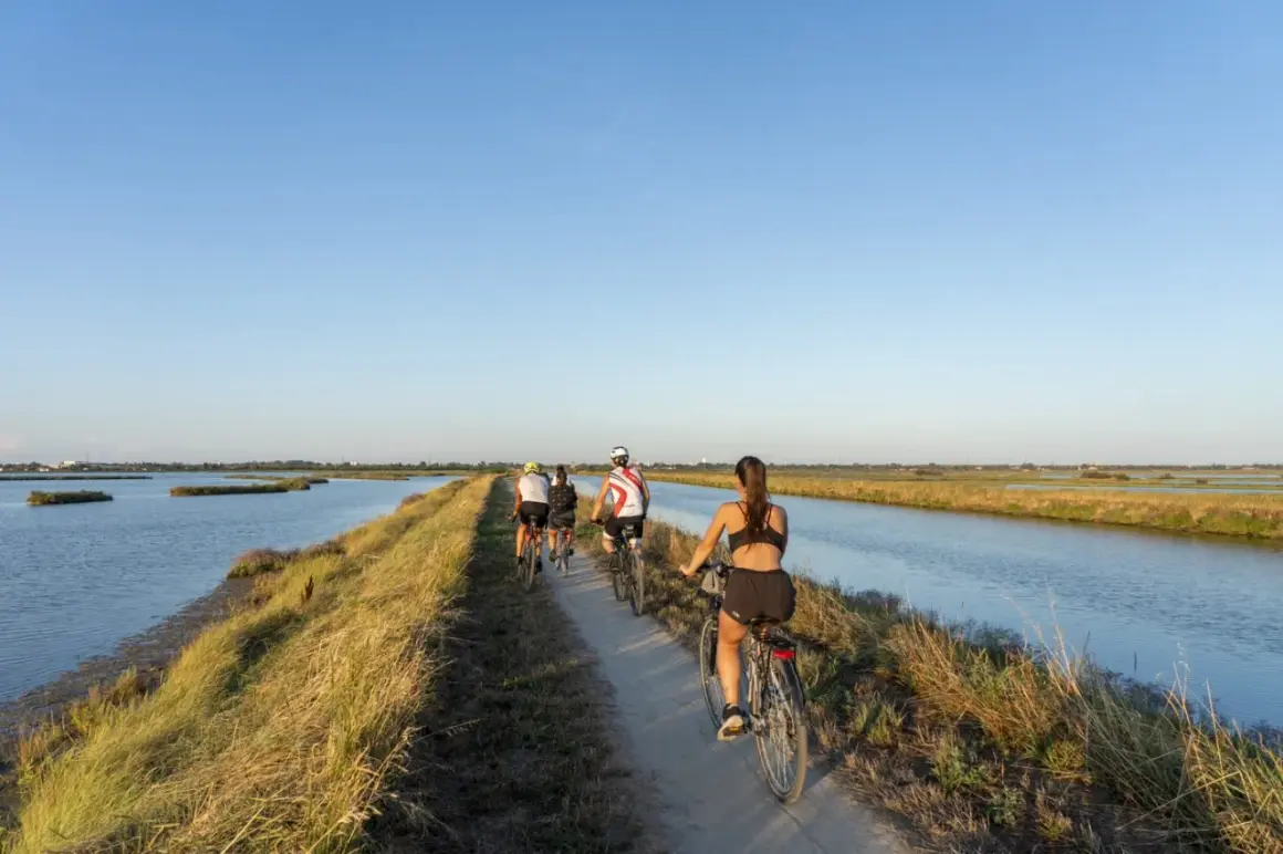 Ciclisti su una **ciclabile Comacchio** tra saline e canali, sotto un cielo azzurro.