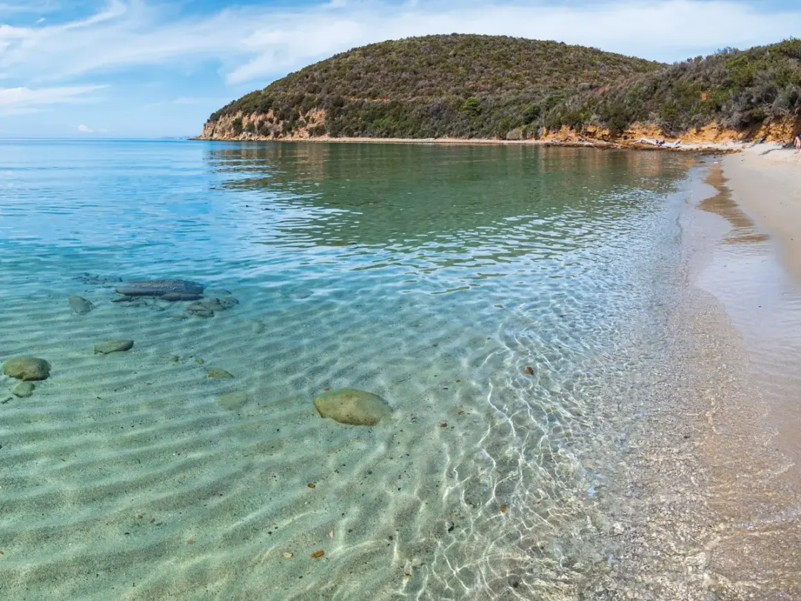 Acque cristalline e sabbia dorata nella Maremma Toscana. Il mare riflette il cielo azzurro, mentre la collina verdeggiante si affaccia sulla costa.