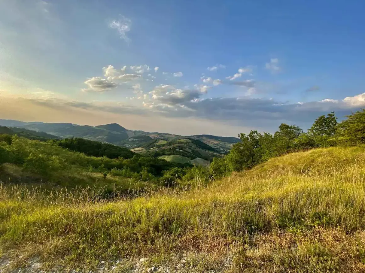 Dolci colline di Parma sotto un cielo azzurro con nuvole bianche. L'erba dorata ondeggia al vento, abbracciando la vegetazione lussureggiante.