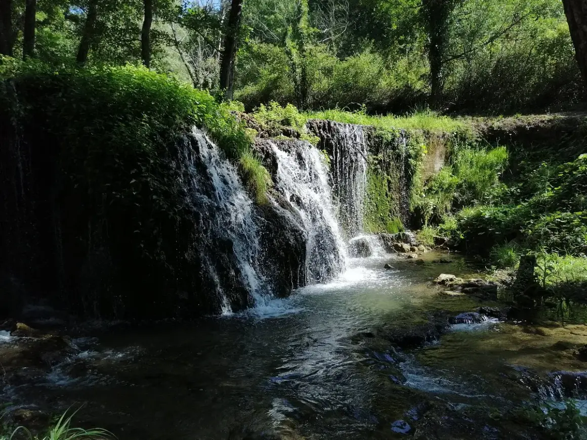Cascata rigogliosa in un bosco, un angolo di pace che ricorda dove si trova Latronico.