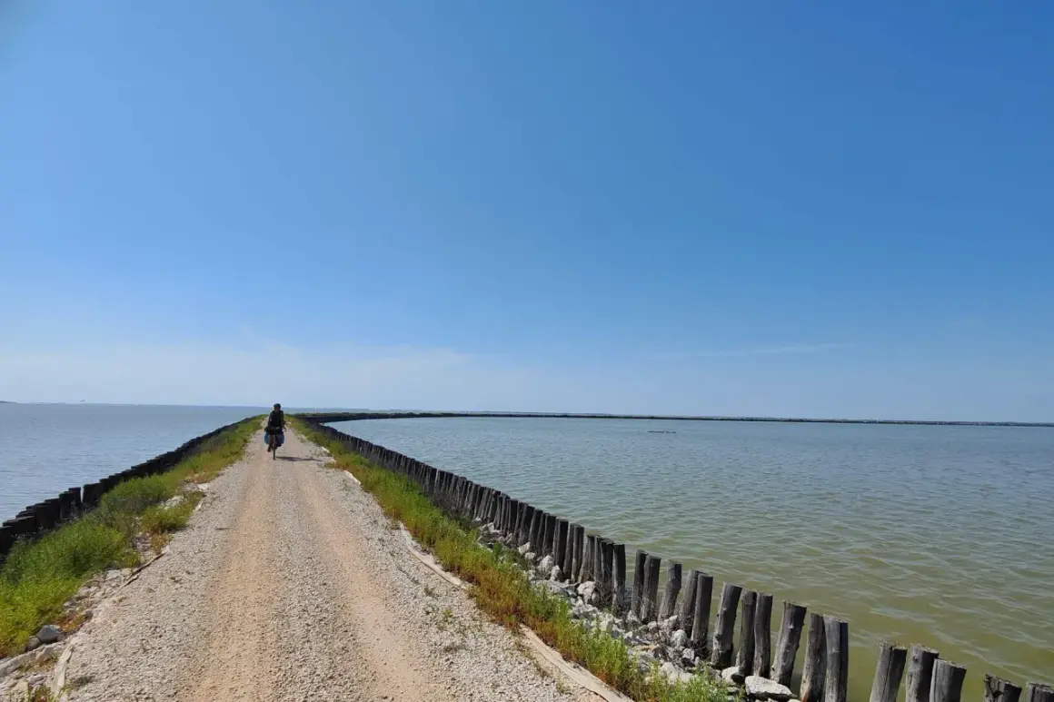 Ciclista solitario pedala sull'argine degli Angeli a Ravenna, circondato da acque calme sotto un cielo azzurro.
