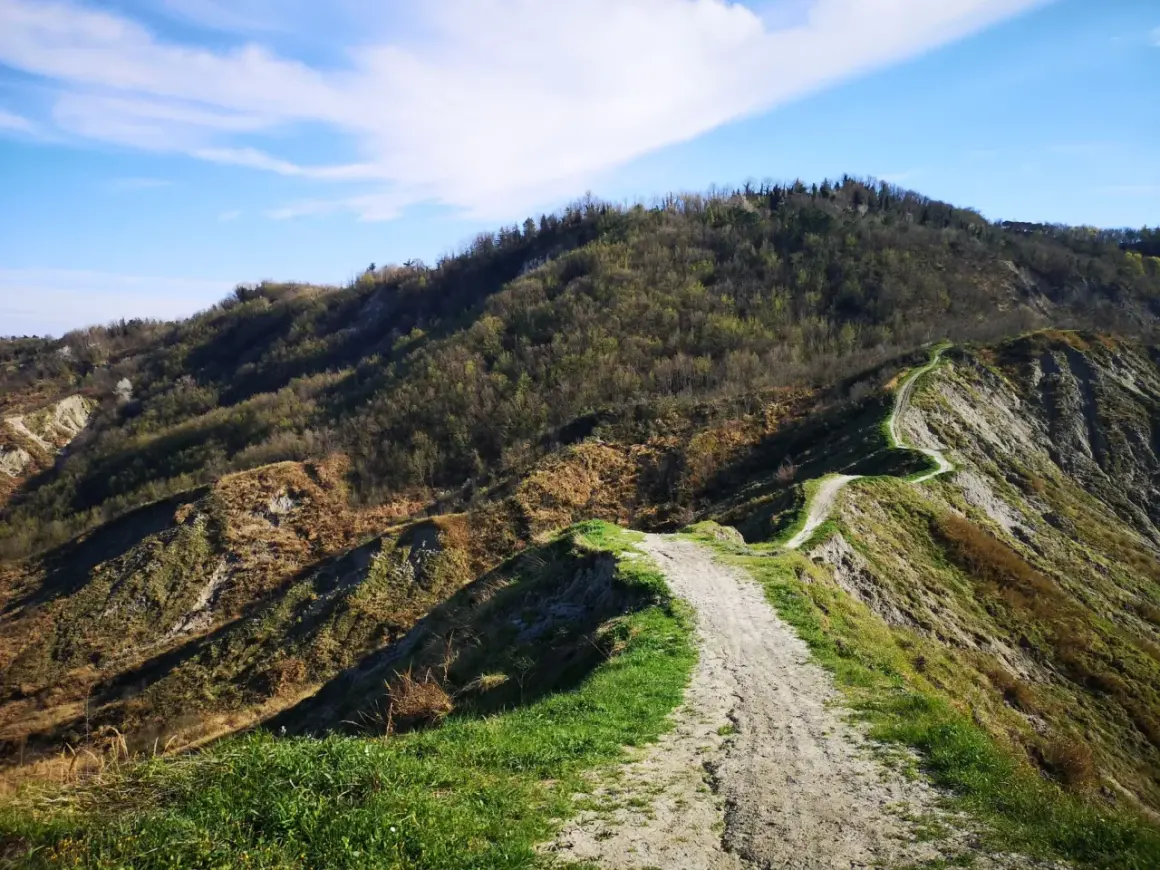 Sentiero sterrato serpeggia su crinale erboso, ideale per il trekking a Cesena, con colline boscose sullo sfondo e cielo azzurro.