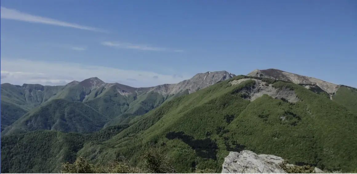 Panoramica dei colli bolognesi in moto, con montagne verdi sotto un cielo azzurro.