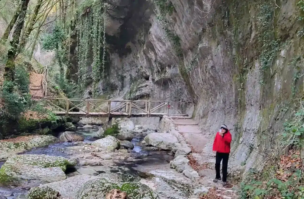 Sentiero tra rocce e vegetazione, con un ponte di legno che attraversa un ruscello. Le cascate di Caramanico Terme offrono uno spettacolo naturale mozzafiato.
