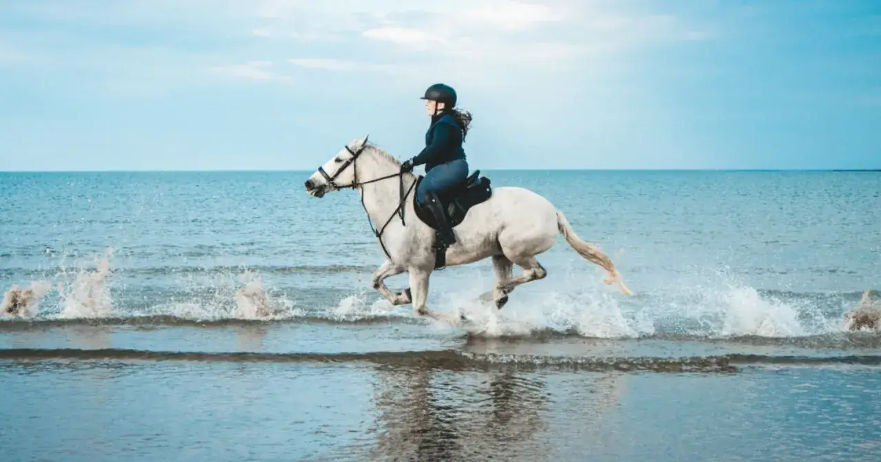 Una cavallerizza con casco e abbigliamento scuro cavalca un cavallo bianco che corre nell'acqua bassa del mare, sollevando spruzzi.