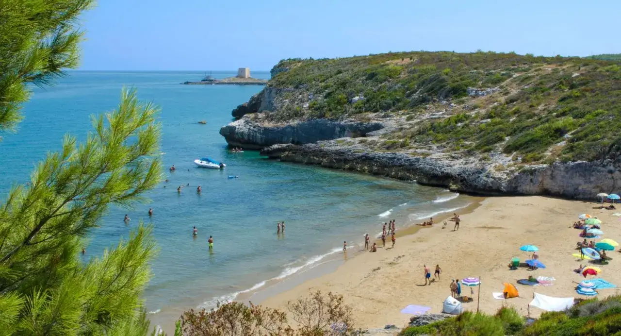 Spiaggia affollata con ombrelloni colorati e gente che nuota, incastonata tra scogliere verdi e il mare azzurro. Perfetta per le vacanze in Gargano.
