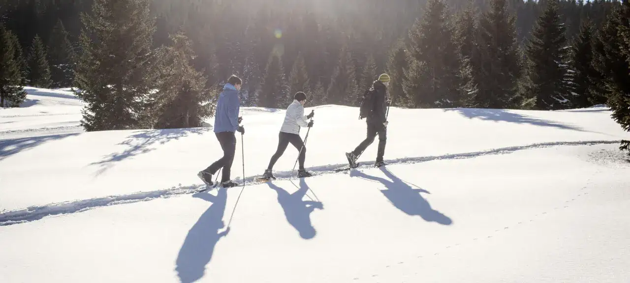 Tre persone con racchette da neve camminano su un sentiero innevato tra gli alberi, godendosi le escursioni invernali Dolomiti.