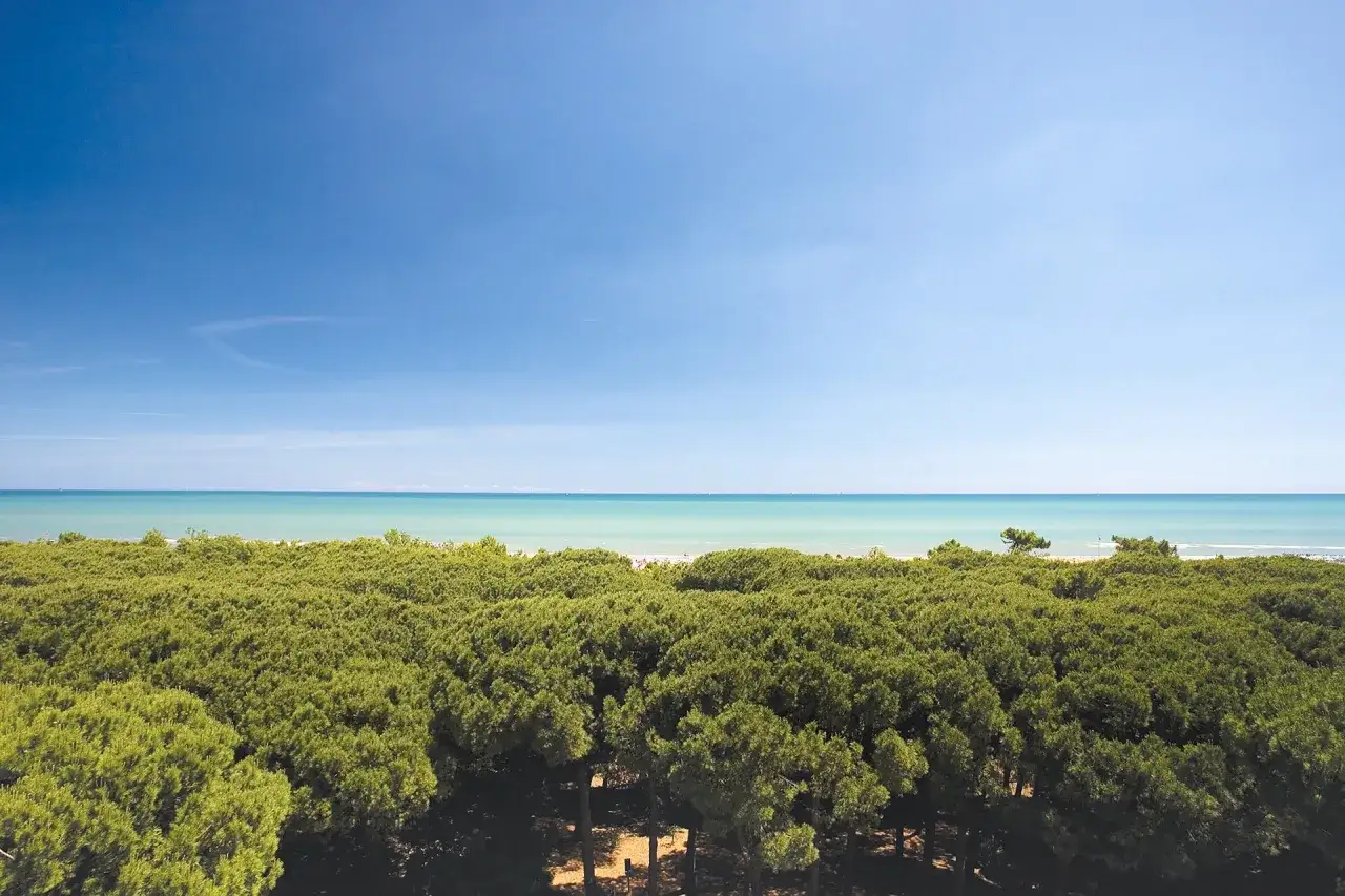 Pineta rigogliosa che si estende fino al mare turchese, un angolo di paradiso dove si trova Cervia.
