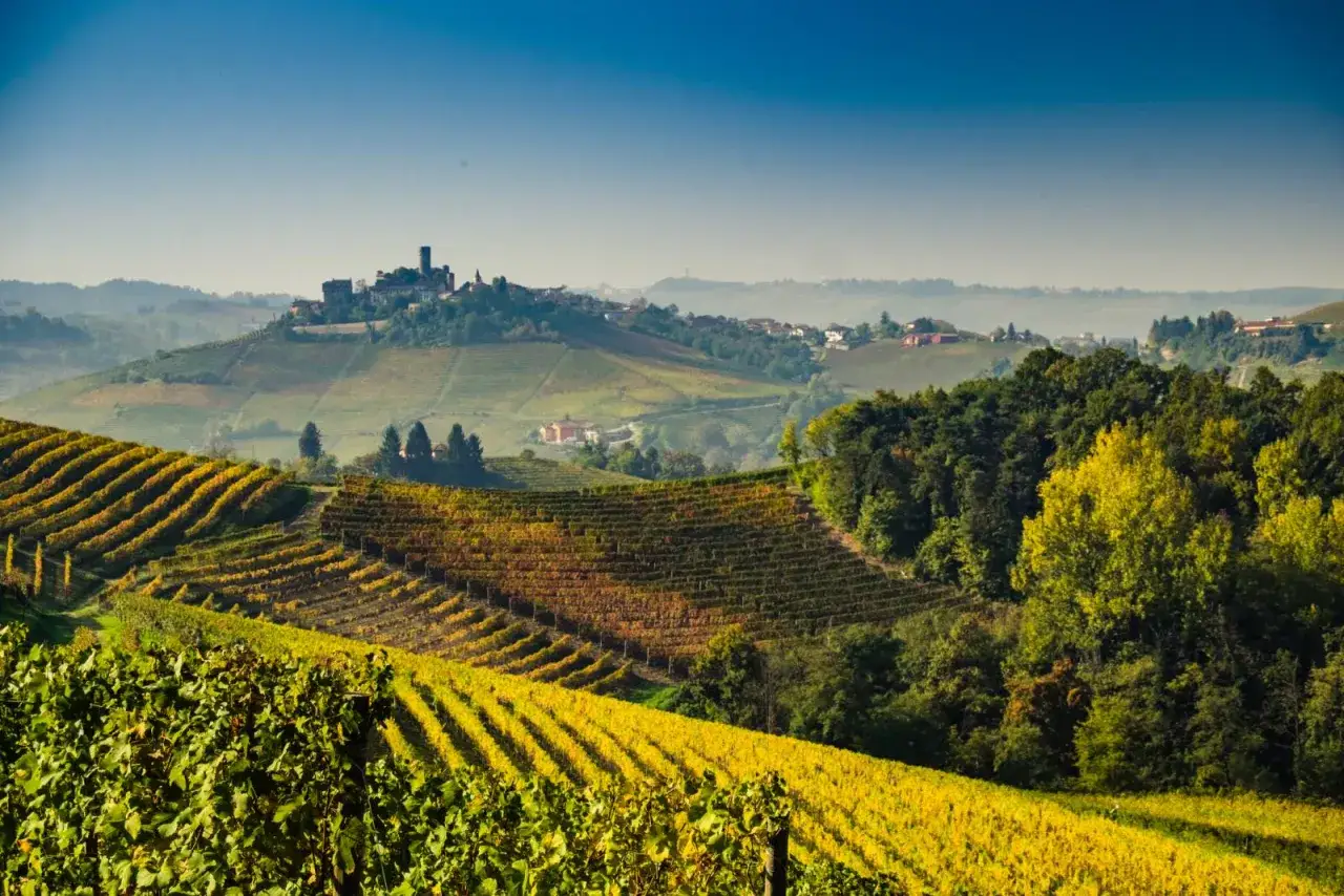 Colline dorate di vigneti in autunno, con un castello in lontananza. Un paesaggio che evoca la differenza tra Langhe e Monferrato, terre di vino e storia.