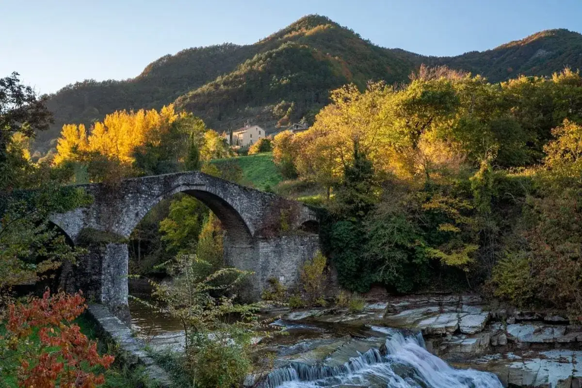 Ponte antico sulle colline forlivesi, con alberi autunnali dorati e un ruscello che scorre. Un luogo incantevole da scoprire.