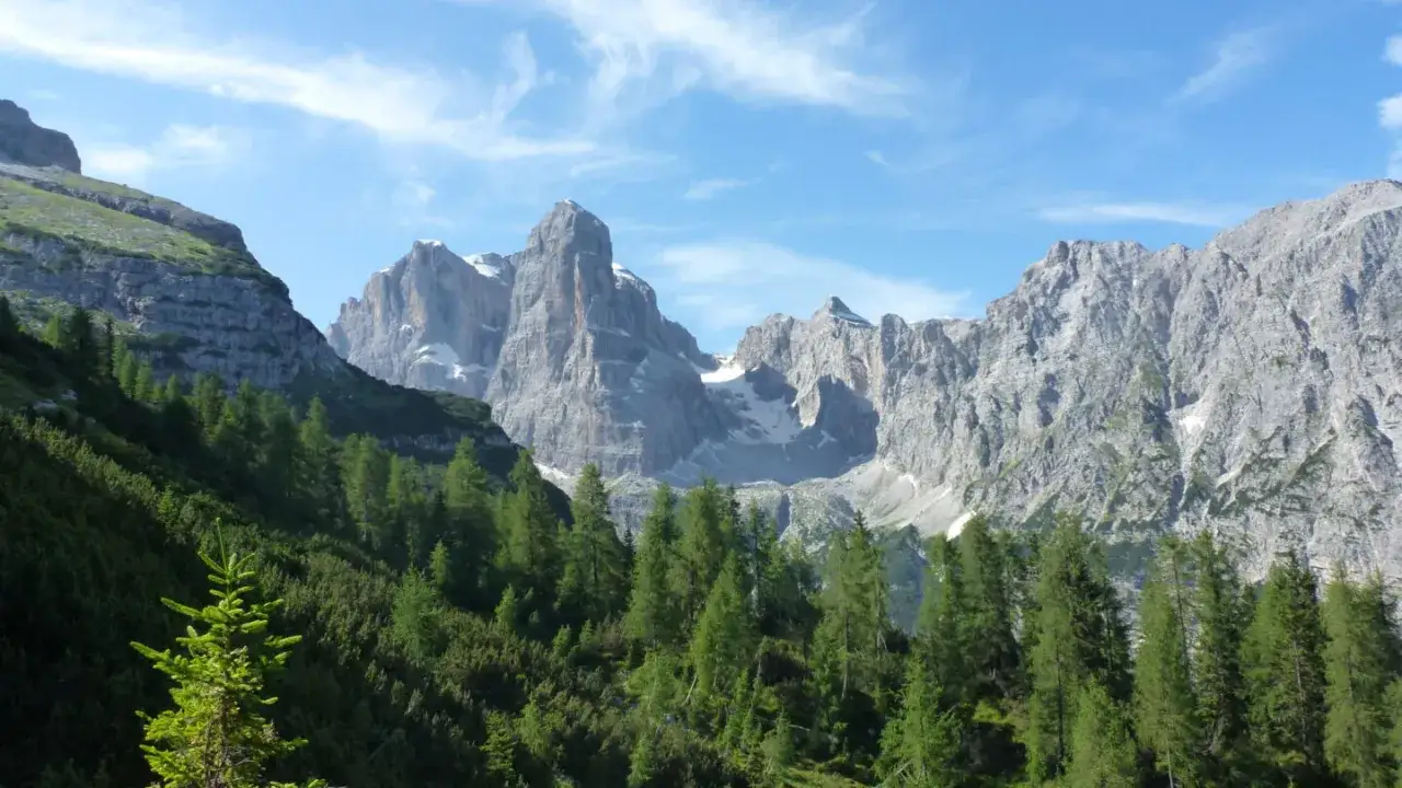 Vette maestose dell'Adamello Brenta, con boschi di conifere e cielo azzurro.