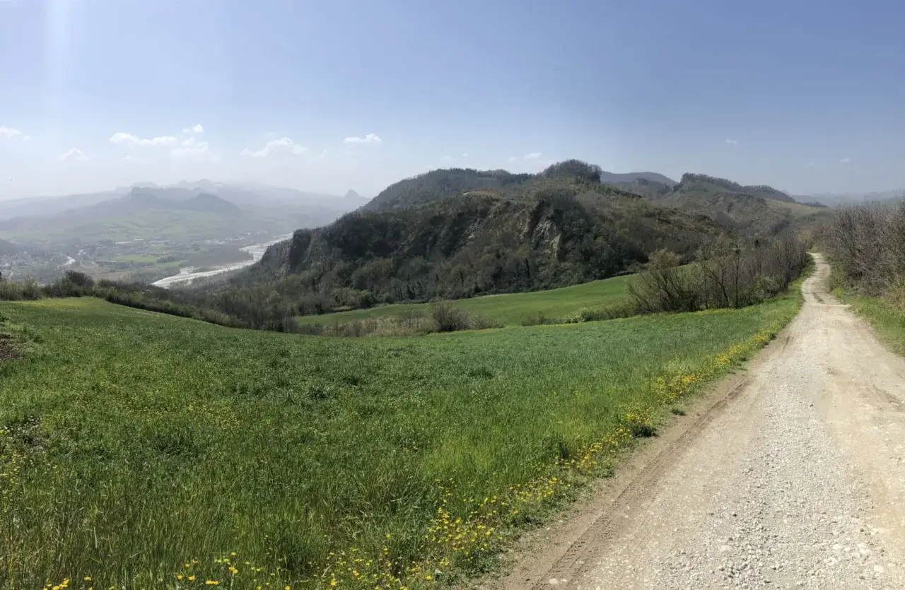 Sentiero sterrato tra verdi colline romagnole, ideali per passeggiate panoramiche.