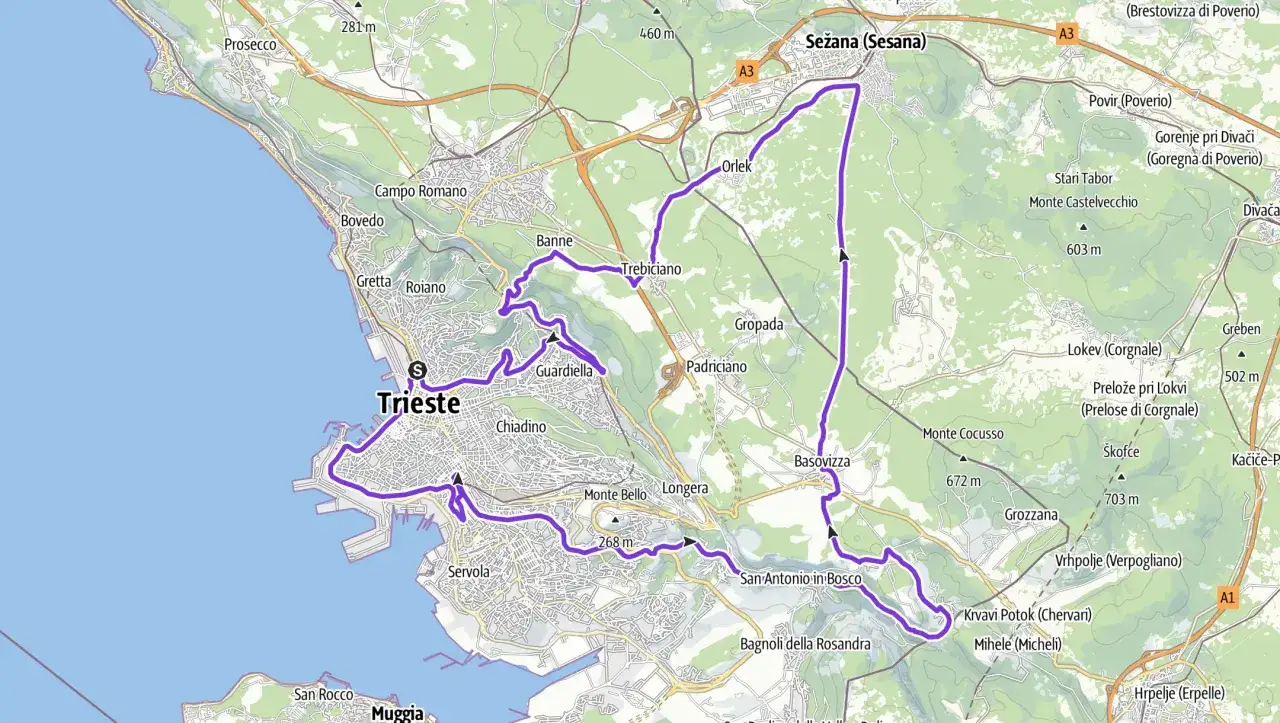 Mappa del Carso triestino con un percorso ciclabile che parte da Trieste, sale verso Basovizza e poi scende verso Sežana.