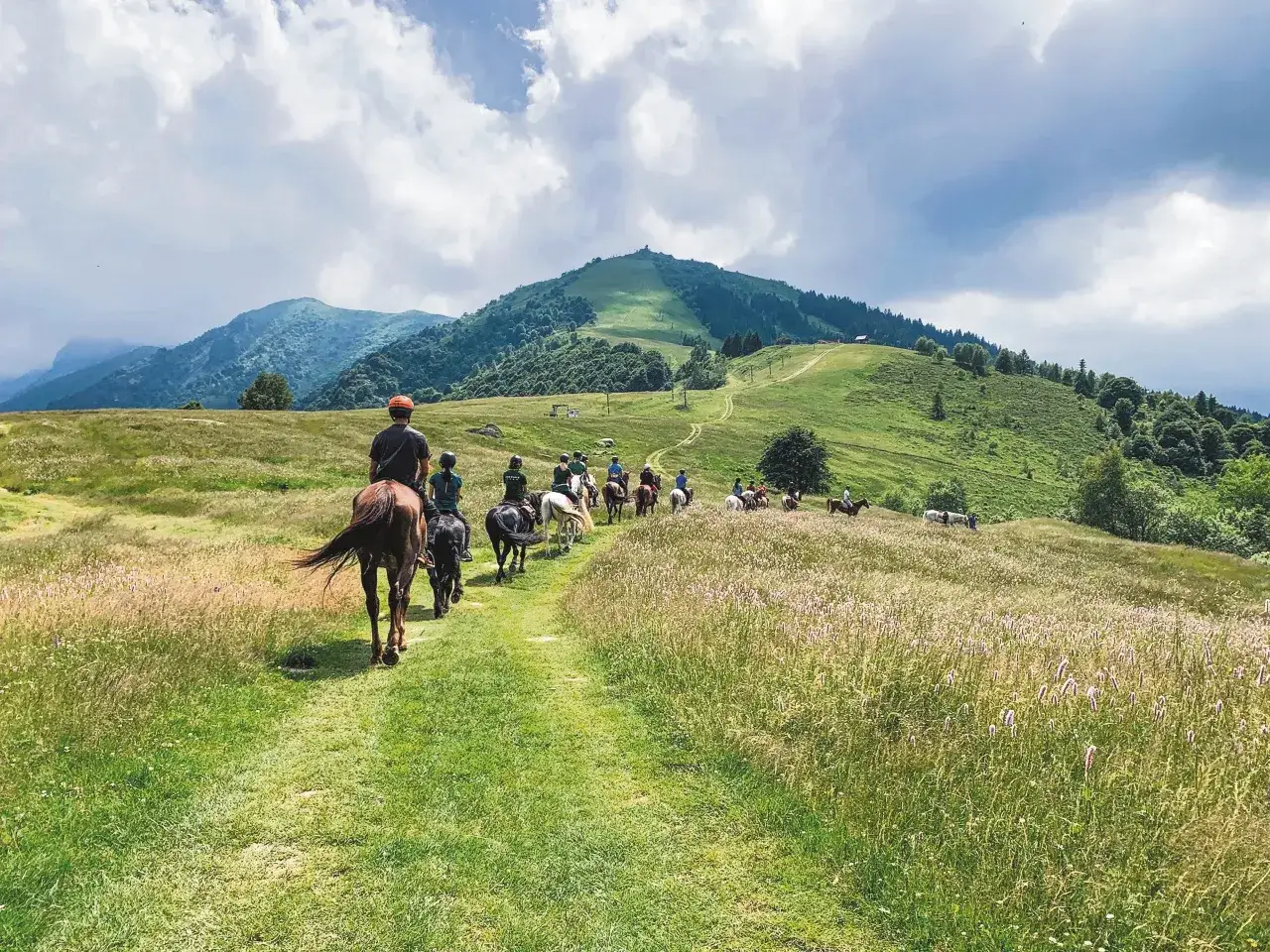 Un gruppo di cavalieri attraversa un prato fiorito in montagna, godendosi sport e natura in una giornata nuvolosa.