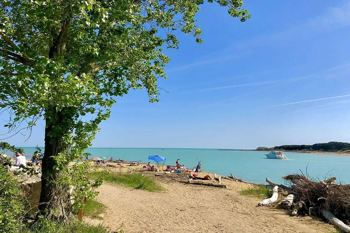 Spiaggia di Marano Lagunare con gente che prende il sole, un albero verde in primo piano e un motoscafo sull'acqua turchese.