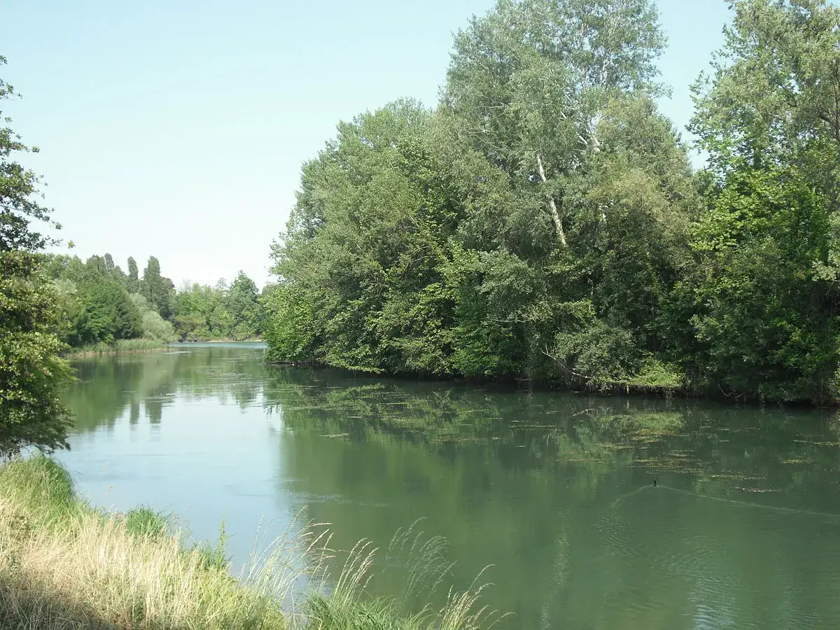 Fiume tranquillo, ideale per una pedalata lungo la ciclabile del Sile. Alberi rigogliosi e cielo sereno riflettono sull'acqua.