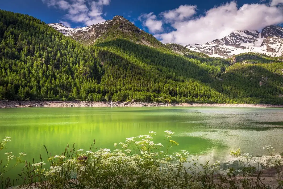 Lago alpino smeraldo in Piemonte, ideale per escursioni tra boschi e cime innevate.