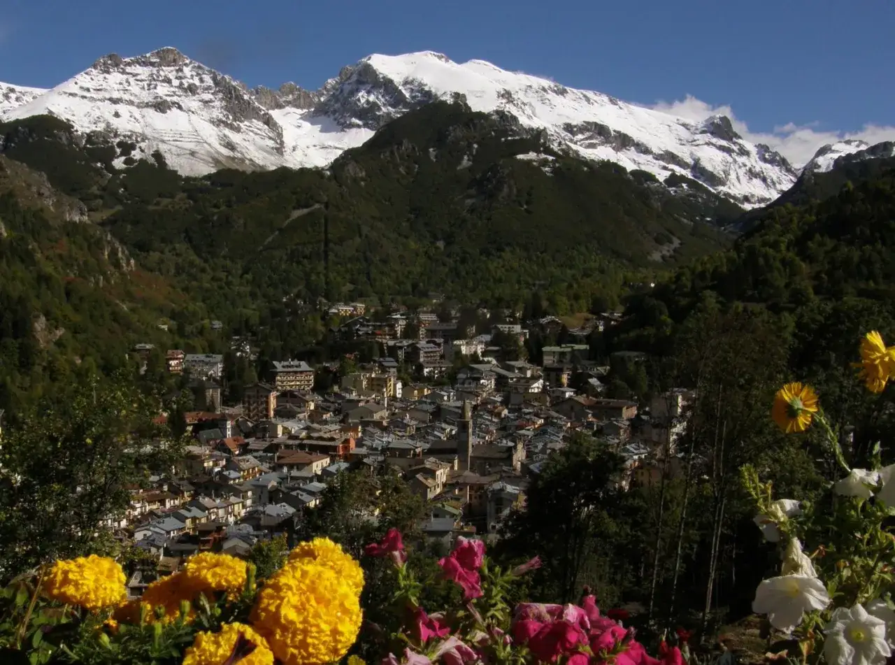Paesaggio di Limone Piemonte con montagne innevate e fiori in primo piano. Scopri cosa fare a Limone Piemonte per una vacanza indimenticabile.