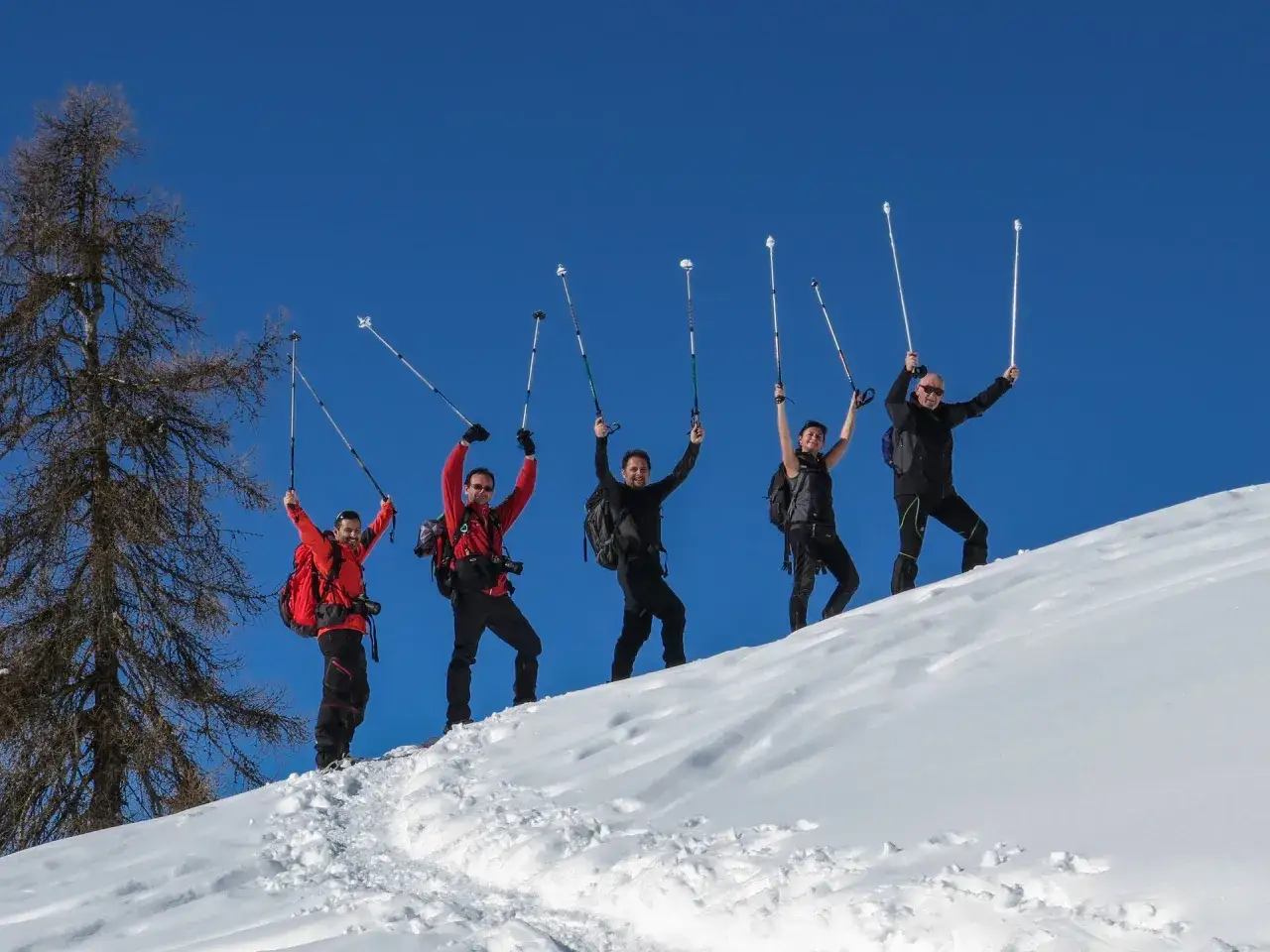 Cinque escursionisti festeggiano in cima a una collina innevata, con bastoncini da trekking alzati. Un'avventura di ciaspolate in Val d'Aosta sotto un cielo azzurro.