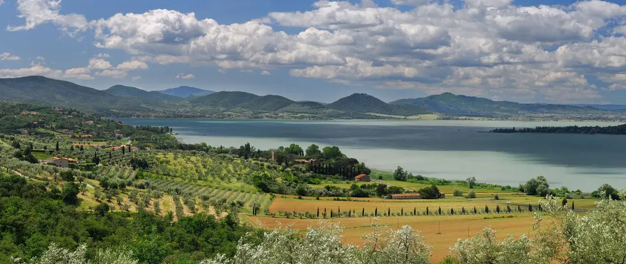 Paesaggio collinare con uliveti e campi coltivati, che digrada verso un lago azzurro. Si intravedono alcuni borghi vicino Castiglione del Lago.