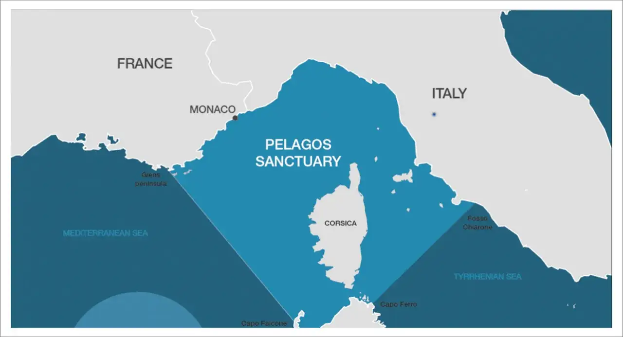 Mappa del Santuario Pelagos, area protetta per i cetacei tra Francia, Italia e Corsica.