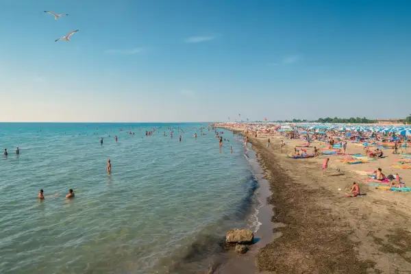 Gente in acqua e sulla sabbia, ombrelloni colorati e gabbiani in volo sulle spiagge friulane.