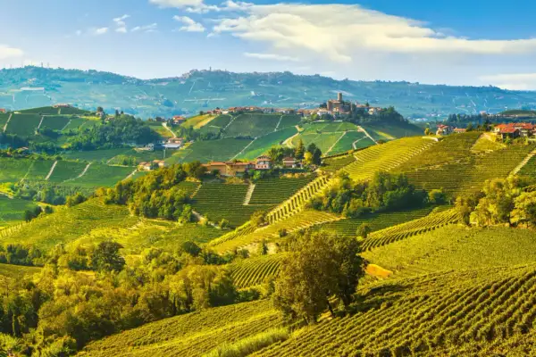 Colline ondulate delle Langhe ricoperte di vigneti dorati e piccoli borghi pittoreschi sotto un cielo azzurro.