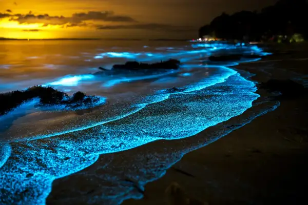 Onda azzurra illumina la spiaggia bioluminescente al tramonto, creando un paesaggio magico e surreale.