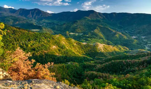Panoramica mozzafiato del passo del Muraglione, con dolci colline ricoperte di boschi lussureggianti e montagne imponenti all'orizzonte.