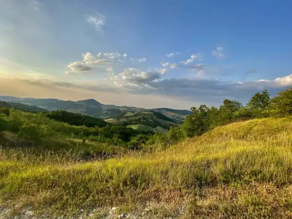 Dolci colline di Parma sotto un cielo azzurro con nuvole bianche. L'erba dorata ondeggia al vento, abbracciando la vegetazione lussureggiante.