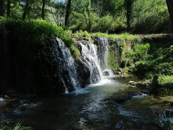 Cascata rigogliosa in un bosco, un angolo di pace che ricorda dove si trova Latronico.