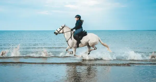 Una cavallerizza sperimenta una gioiosa passeggiata a cavallo sul mare, sollevando spruzzi d'acqua con il suo bianco destriero.