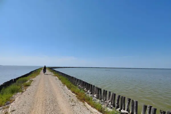 Ciclista solitario pedala sull'argine degli Angeli a Ravenna, circondato da acque calme sotto un cielo azzurro.