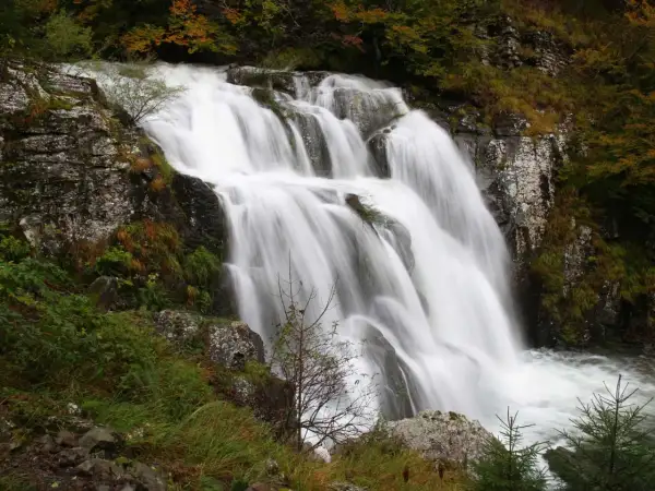 Cascata di Sant'Anna al Pelago, un velo d'acqua bianca scende tra rocce e vegetazione autunnale.