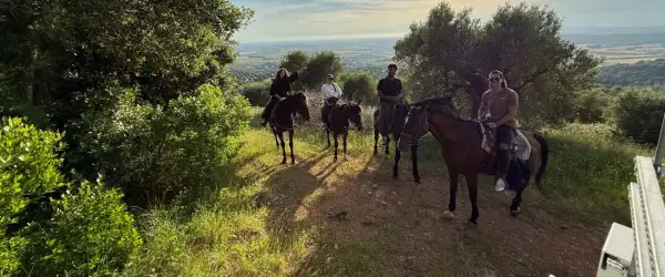 Quattro persone godono di una passeggiata a cavallo toscana, con vista panoramica sulla campagna.