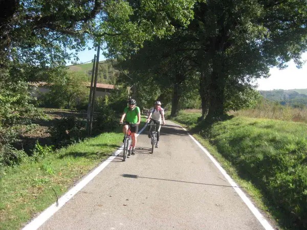 Ciclisti su una strada panoramica, parte della ciclovia del sole, immersi nel verde.
