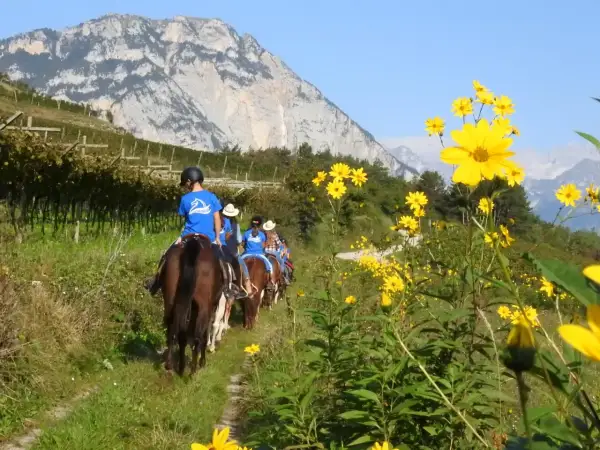 Gruppo di principianti in passeggiata a cavallo tra vigneti e fiori gialli, con montagne sullo sfondo.