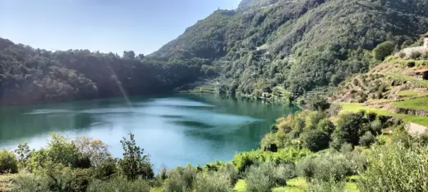 Lago alpino dalle acque verdi, circondato da boschi rigogliosi e terrazzamenti coltivati. Un angolo terme naturale e sereno.
